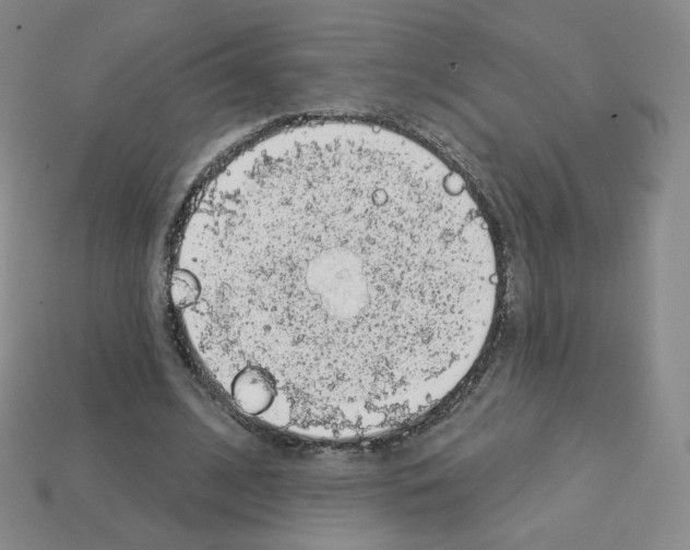 X0000112780584200910011259