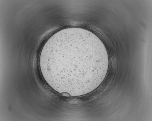 X0000112780587200910011259