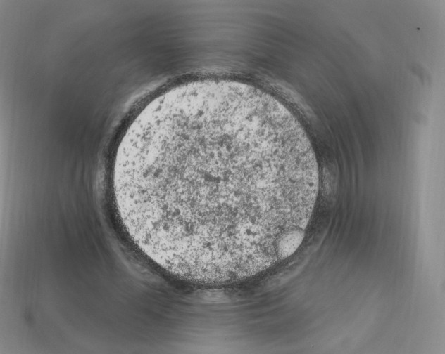 X0000112780588200910011259