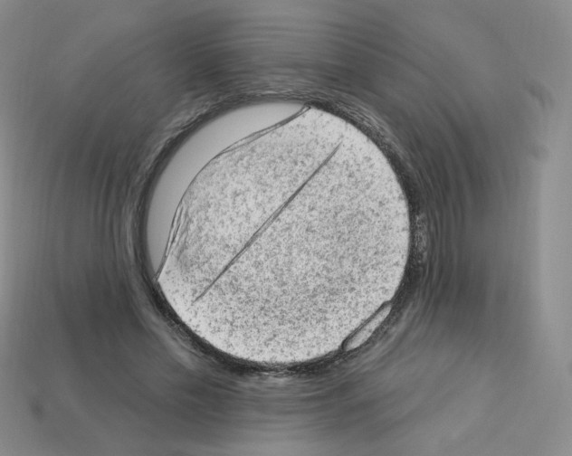 X0000112780589200910011259