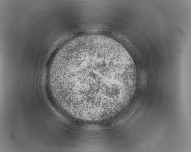 X0000112780590200910011259