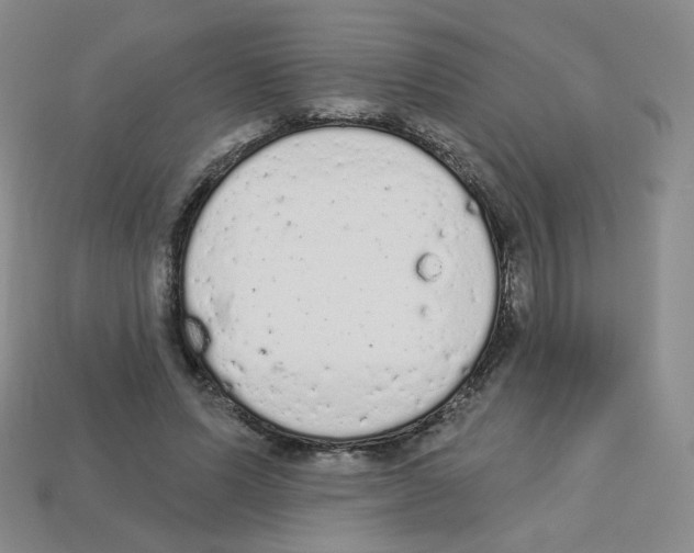 X0000112780591200910011259