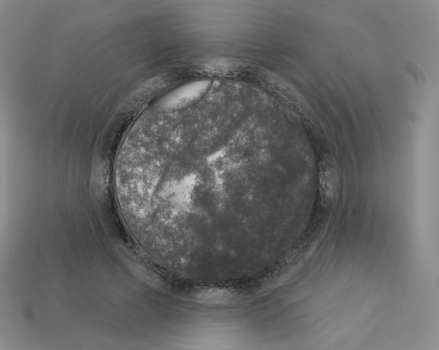 X0000112780593200910011259