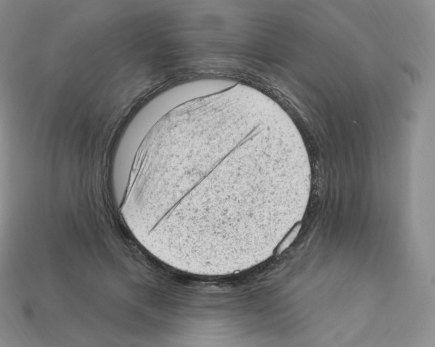 X0000112780597200910011259