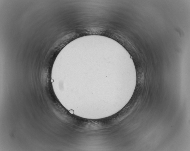 X0000112780599200910011259