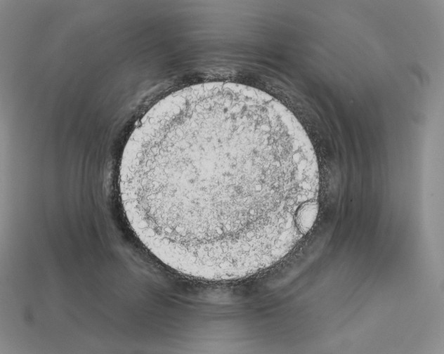 X0000112780600200910011259