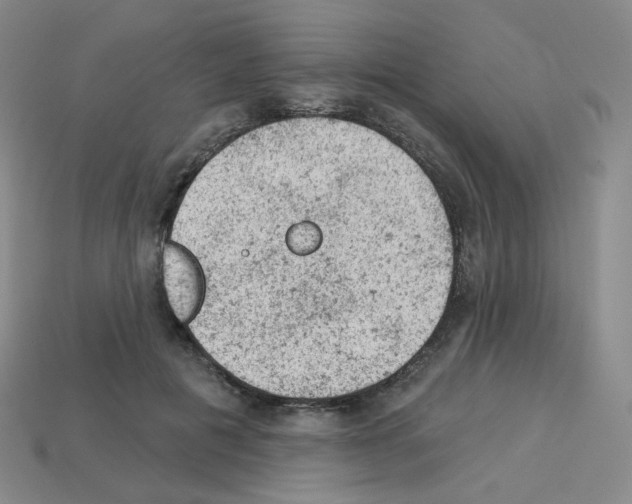 X0000112780601200910011259