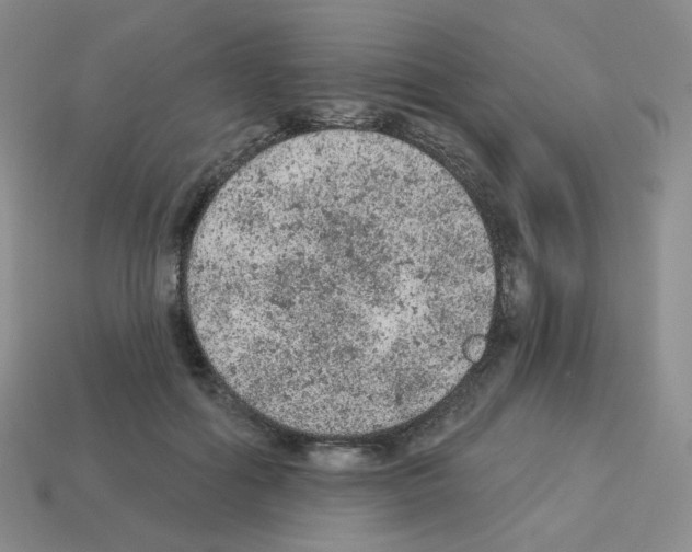 X0000112780602200910011259