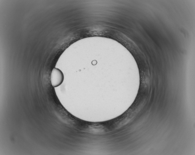 X0000112780603200910011259