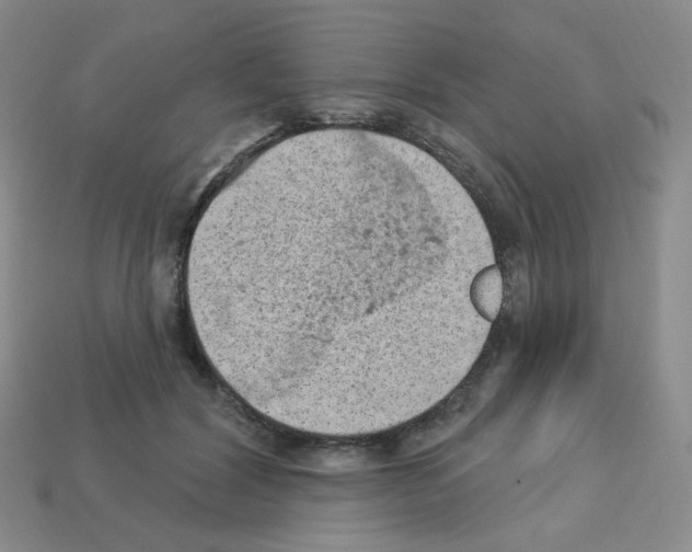 X0000112780604200910011259