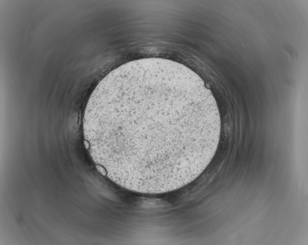 X0000112780605200910011259