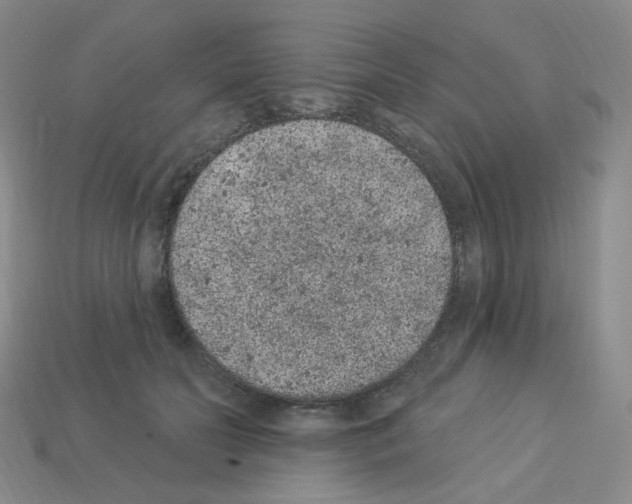 X0000112780606200910011259