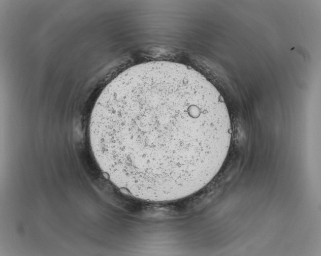 X0000112780607200910011259