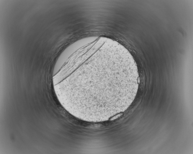 X0000112780609200910011259