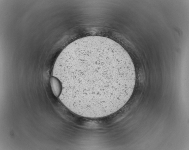 X0000112780611200910011259