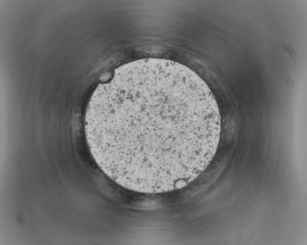 X0000112780612200910011259