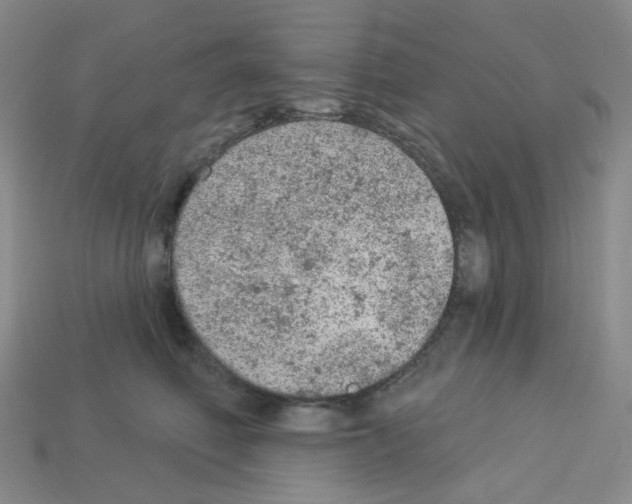 X0000112780614200910011259