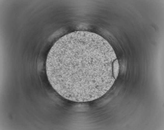 X0000112780619200910011259