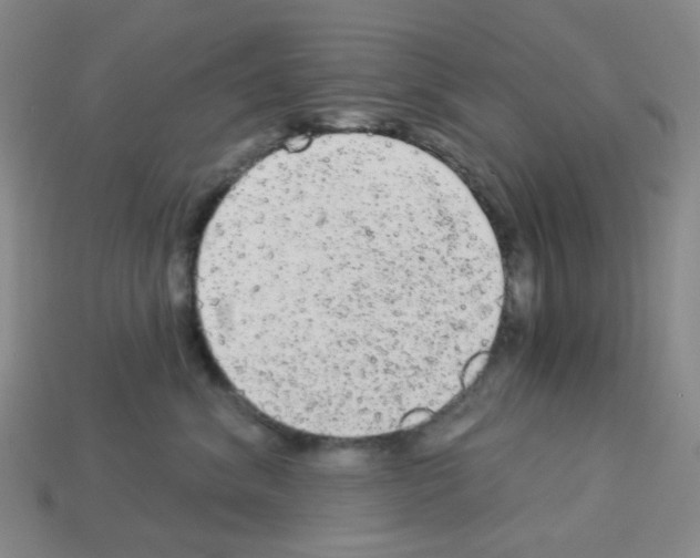 X0000112780620200910011259