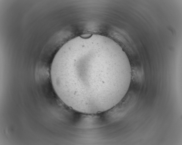 X0000112780621200910011259