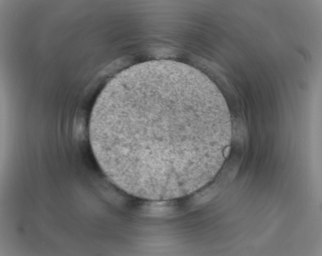 X0000112780622200910011259