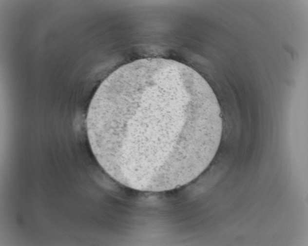 X0000112780624200910011259