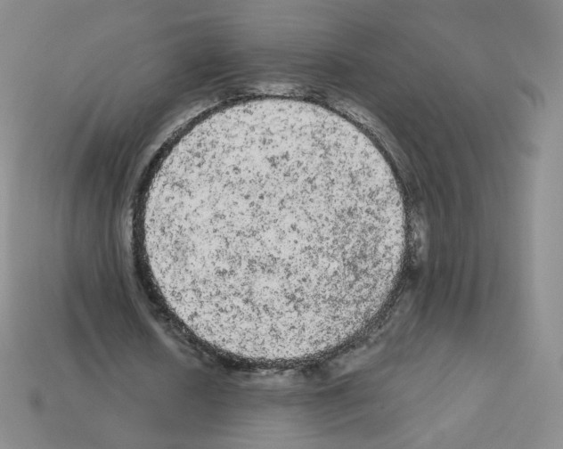 X0000112780626200910011258