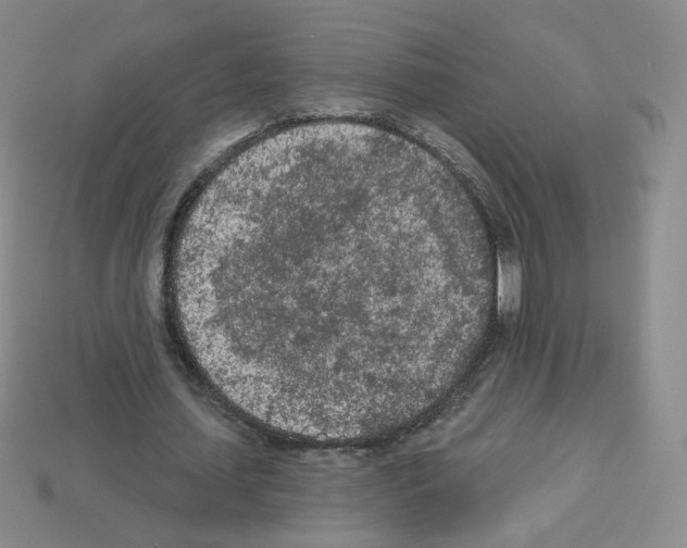 X0000112780627200910011258