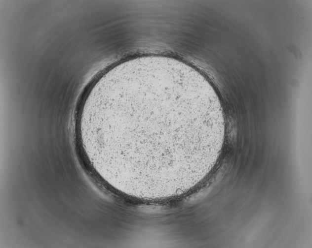 X0000112780630200910011258