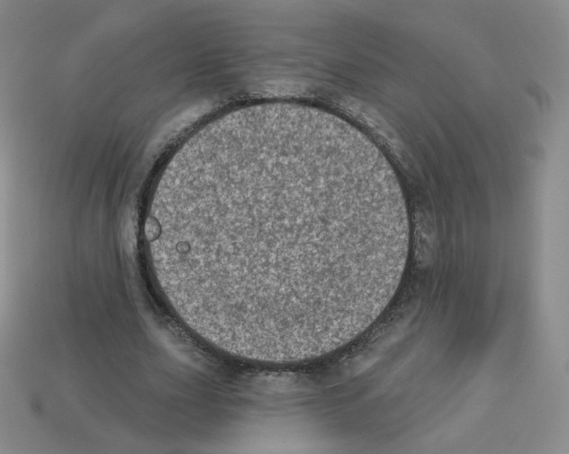 X0000112780631200910011258