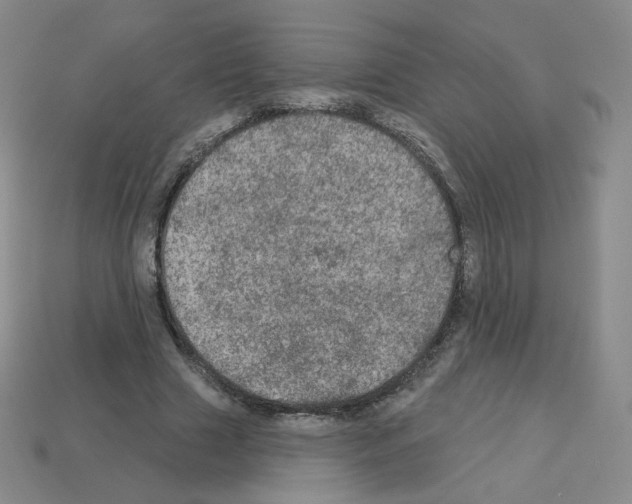 X0000112780633200910011258