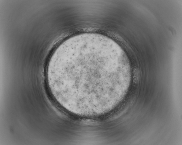 X0000112780634200910011258