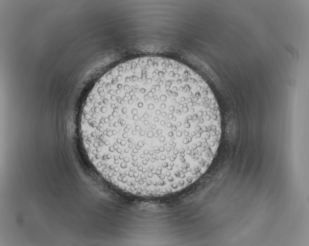 X0000112780635200910011258