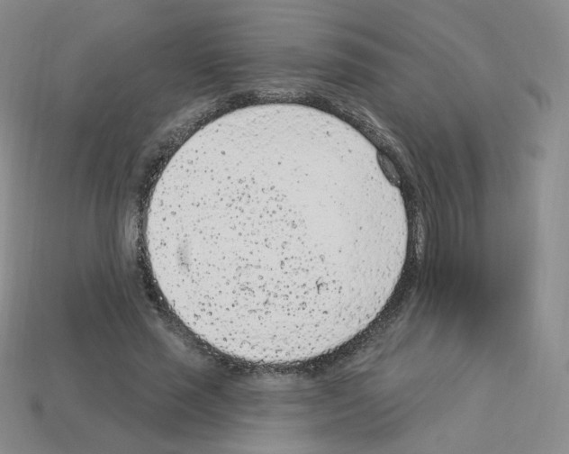 X0000112780637200910011258