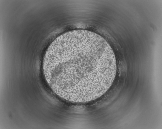 X0000112780639200910011258