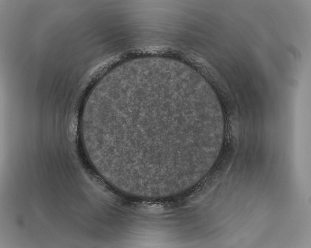 X0000112780640200910011258