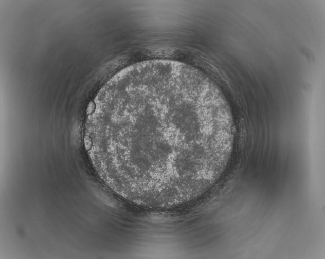 X0000112780641200910011258