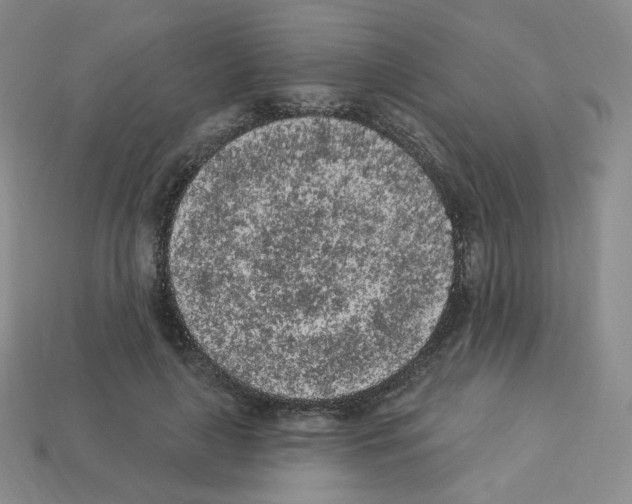 X0000112780643200910011258