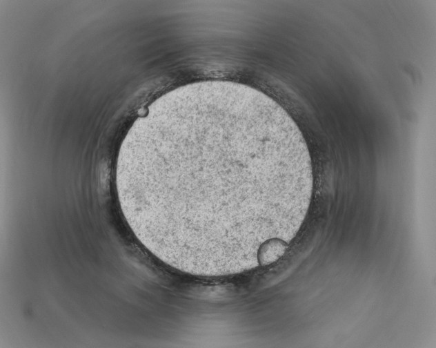 X0000112780646200910011258