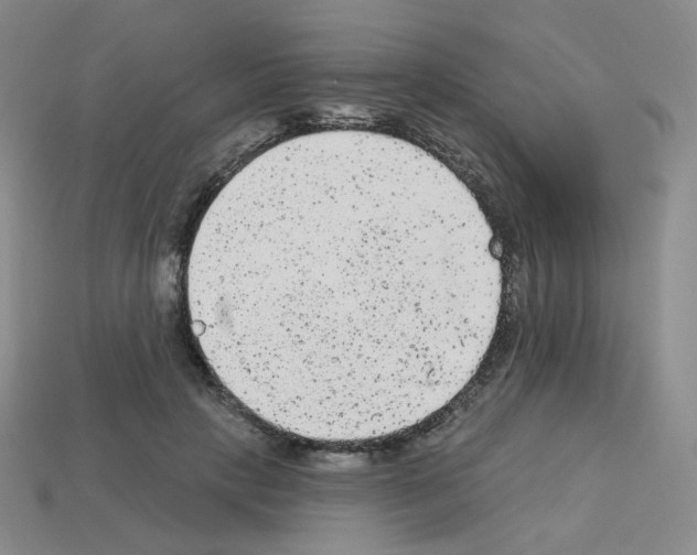 X0000112780649200910011258