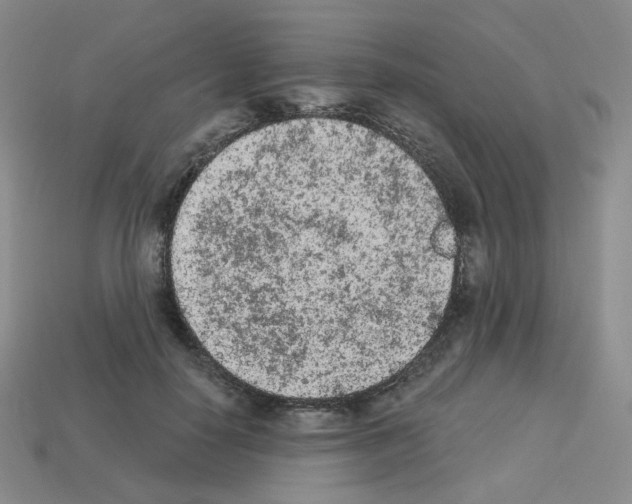 X0000112780650200910011258