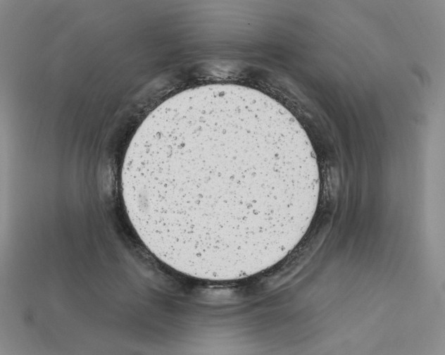 X0000112780651200910011258