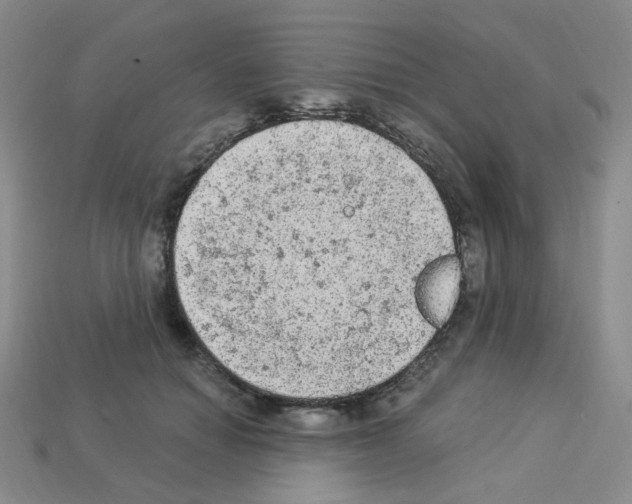 X0000112780654200910011258