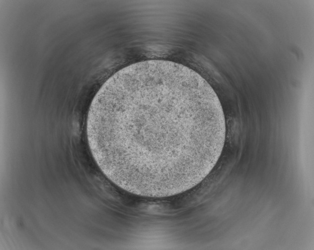 X0000112780655200910011258