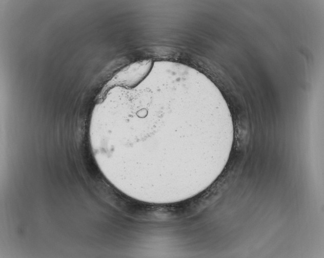 X0000112780656200910011258