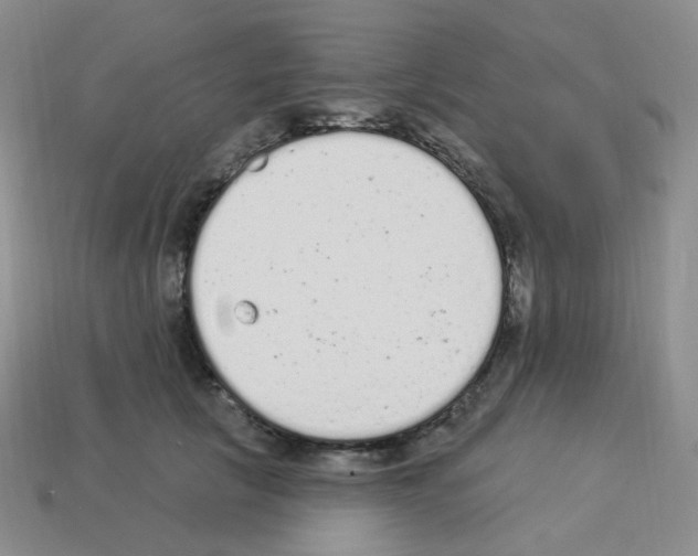 X0000112780657200910011258