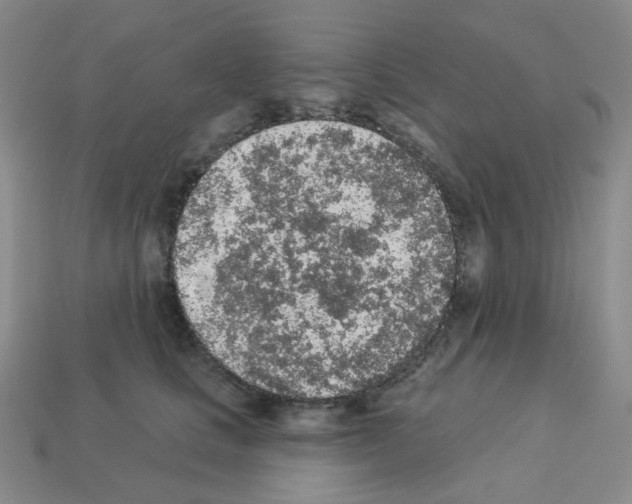 X0000112780661200910011258