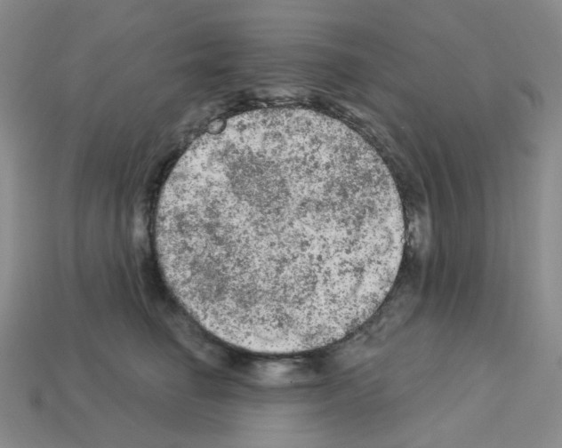 X0000112780662200910011258