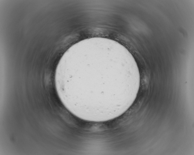 X0000112780663200910011258