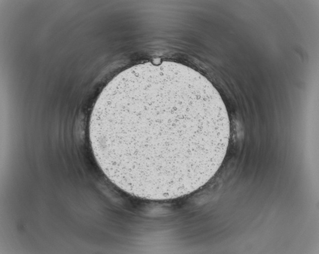 X0000112780664200910011258